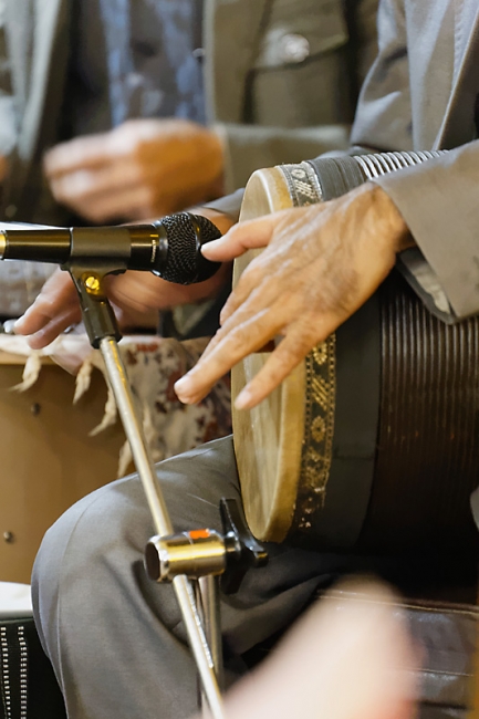 Chiraz-Diner spectacle (Musique iranienne)-007